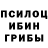 Псилоцибиновые грибы Psilocybe mezucko