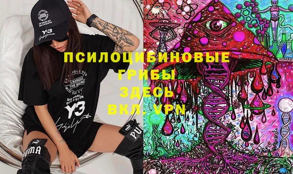 винт Абаза