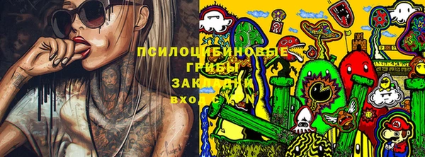 гидра Алексеевка