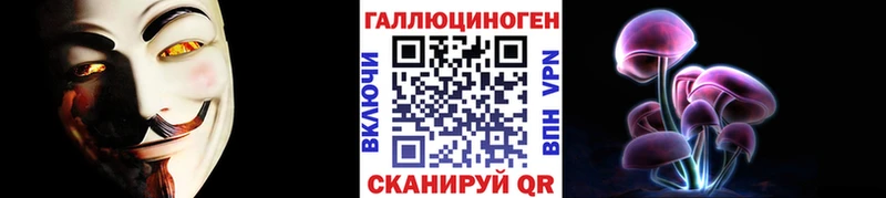 дарнет шоп Полевской Галлюциногенные грибы Cubensis