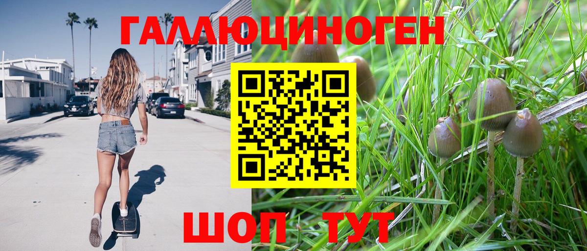 Галлюциногенные грибы мицелий  Вход с VPN  Полевской 